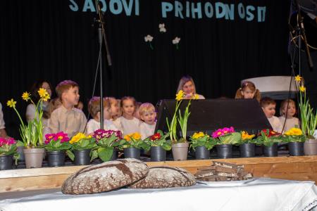 ‘‘Korenine preteklosti, sadovi prihodnosti” (5)